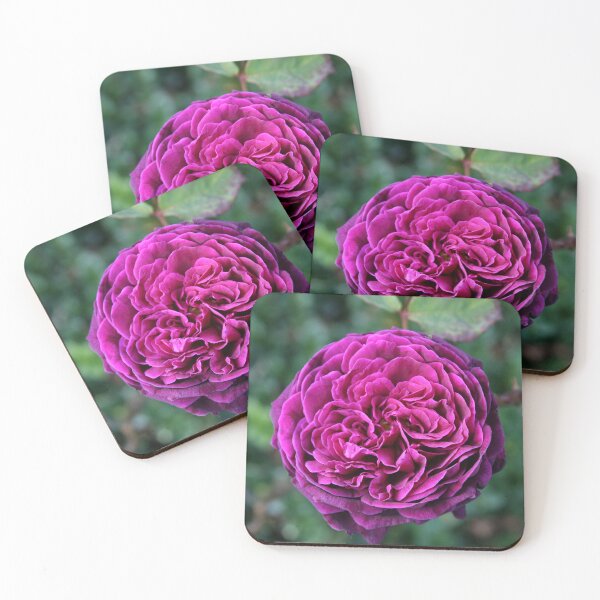 Item preview, Ebb Tide Rose designed and sold by Marilyn Harris.