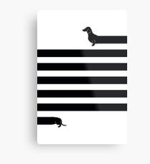 (Very) Long Dog Metal Print