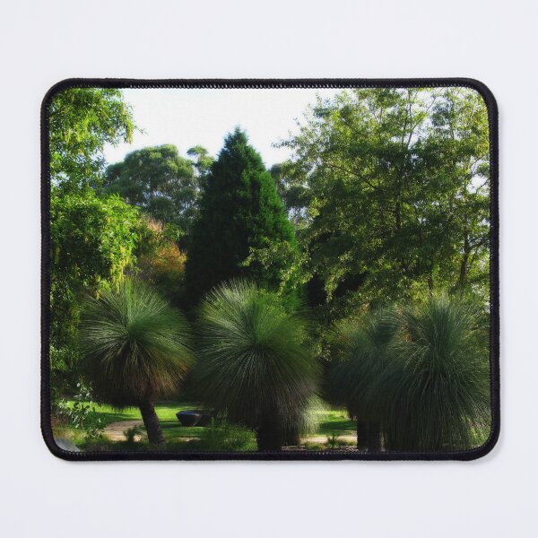 Item preview, Grass Trees - Blue Mountains Botanic Gardens designed and sold by Marilyn Harris.