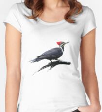 Pileated Woodpecker Fitted Scoop T-Shirt