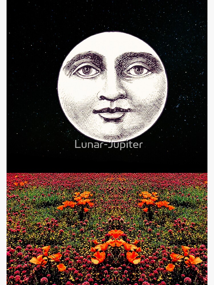 "Harvest Moon" Sticker for Sale by LunarJupiter Redbubble