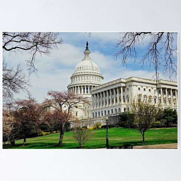 Item preview, United States Capitol Building designed and sold by David Lampkins.