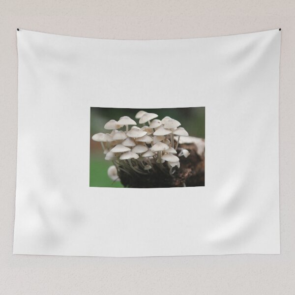 Item preview, Funghi Log designed and sold by susanellen.