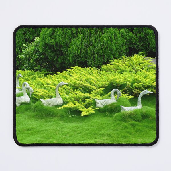 Item preview, Geese in a Sea of Green - Hunter Valley Gardens designed and sold by Marilyn Harris.