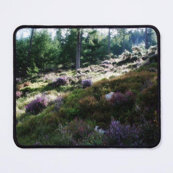 Item preview, Colourful Heather - Woodland Walk - Glendalough, Ireland. designed and sold by Marilyn Harris.