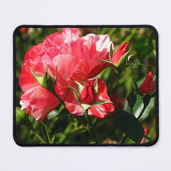 Item preview, Grimaldi Rose #1 designed and sold by Marilyn Harris.