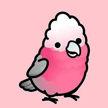 Artwork thumbnail, Rose-Breasted Galah Cockatoo by birdhism