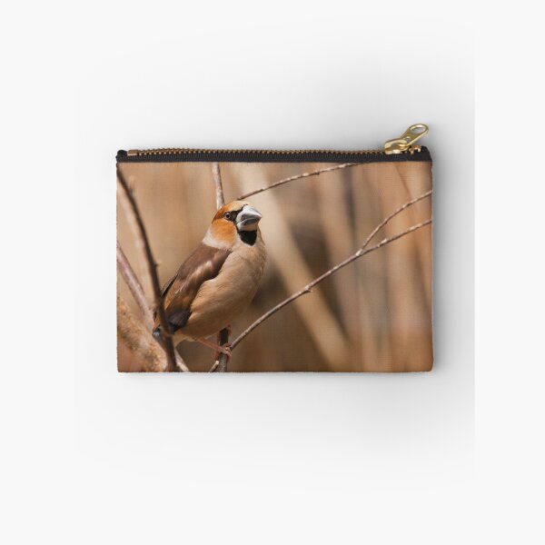 Item preview, Hawfinch designed and sold by Dominika Aniola.