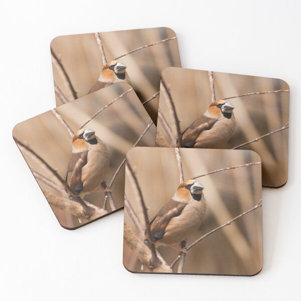 Item preview, Hawfinch designed and sold by Dominika Aniola.