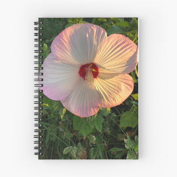 Item preview, Delicate pink hibiscus flower  designed and sold by FlowersAndMore.