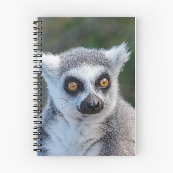 Item preview, Ring Tailed Lemur designed and sold by Graphics By Craig.