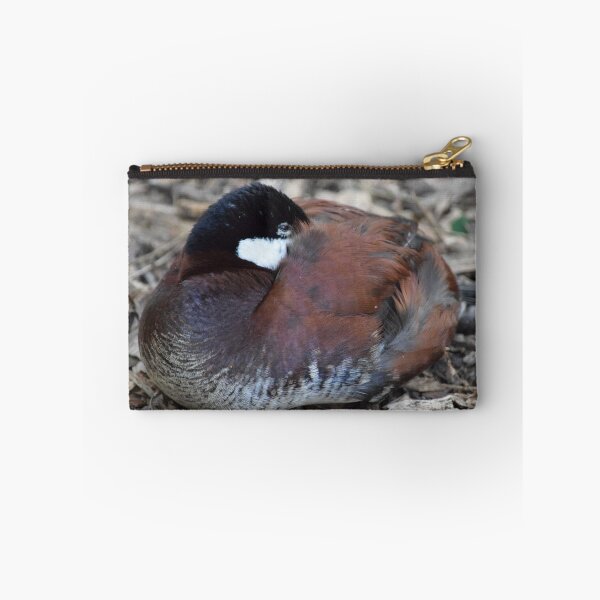 Item preview, Blue Billed Duck designed and sold by MontanaWolves21.