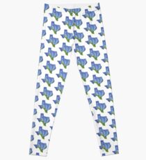 Texas Bluebonnets Leggings
