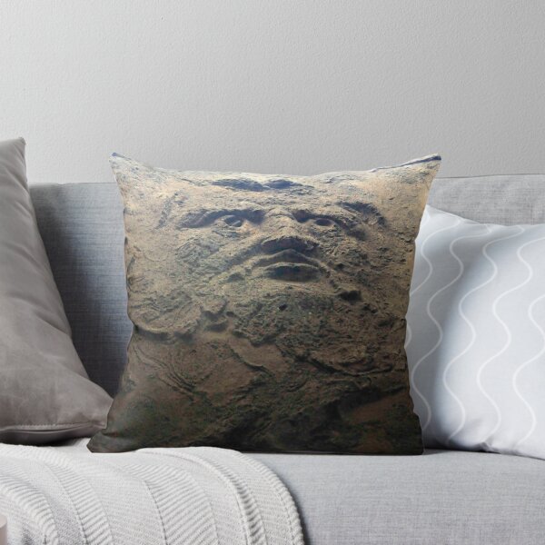 Item preview, Face on wall, bath house, Pompeii, Italy designed and sold by buttonpresser.