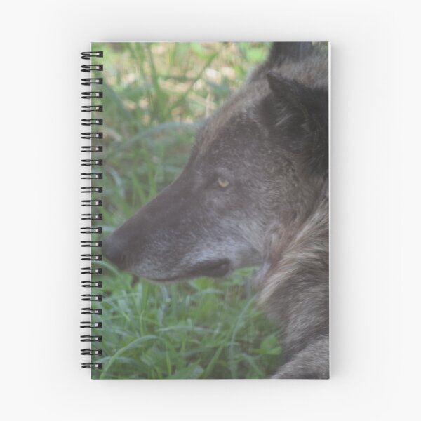 Item preview, Black Wolf Laying Down designed and sold by MontanaWolves21.