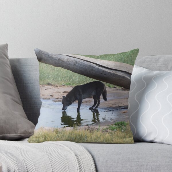 Item preview, Black Wolf Drinking designed and sold by MontanaWolves21.