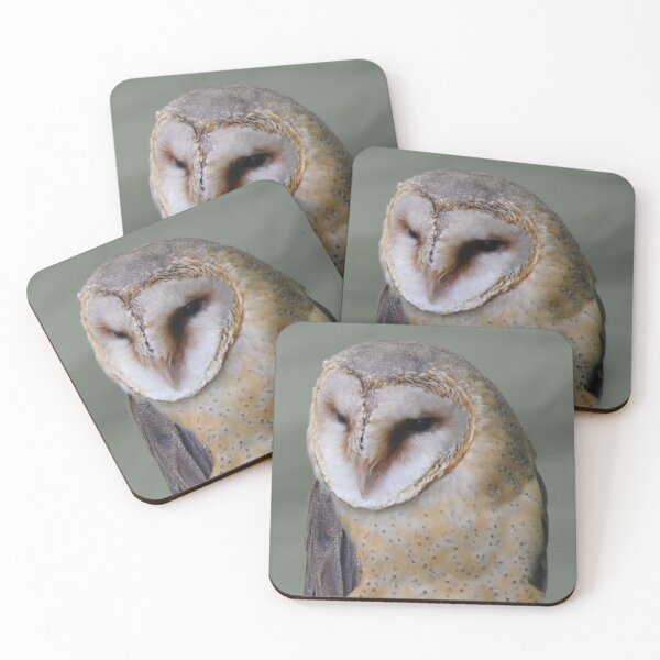 Item preview, Barn Owl designed and sold by wumplekin.