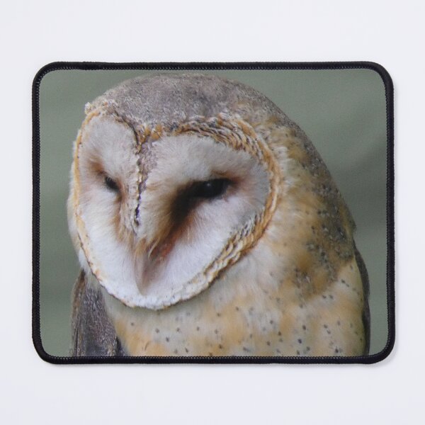 Item preview, Barn Owl designed and sold by wumplekin.