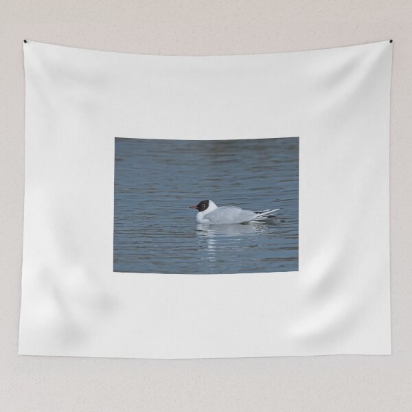 Item preview, Black-headed Gull designed and sold by Sue Robinson.