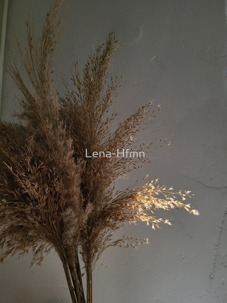 Pampas Grass Sticker For Sale By Lena Hfmn Redbubble