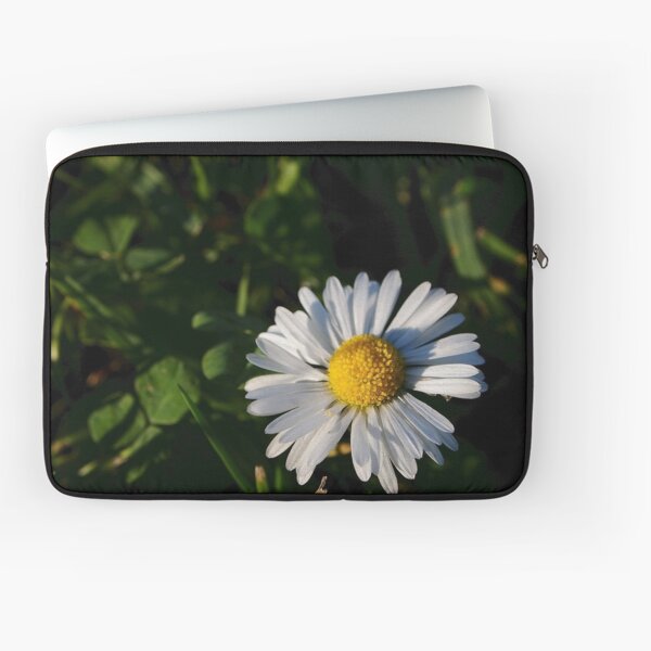 Laptop Sleeve