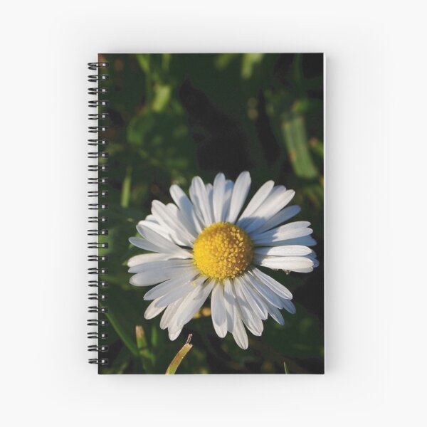 Spiral Notebook