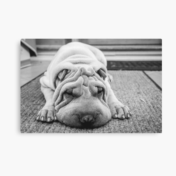 p a d d i n g t o n Canvas Print