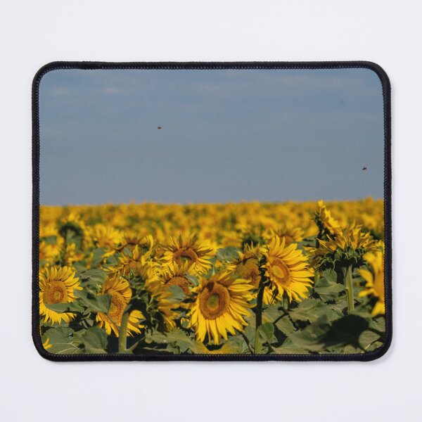 Item preview, sunflower field designed and sold by OskiOnTour.