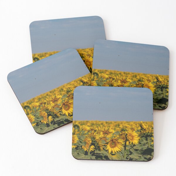 Item preview, sunflower field designed and sold by OskiOnTour.
