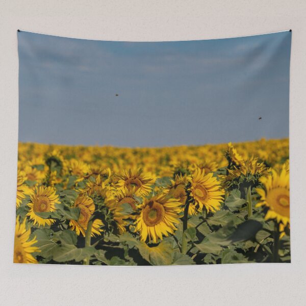 Item preview, sunflower field designed and sold by OskiOnTour.