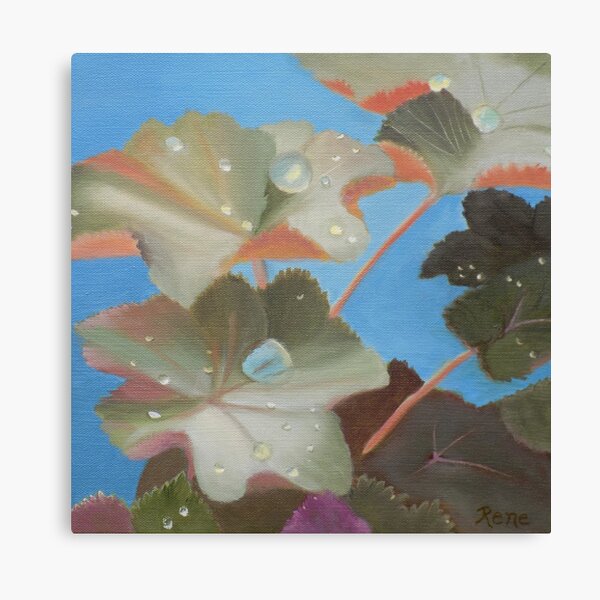 Morning Rain Canvas Print