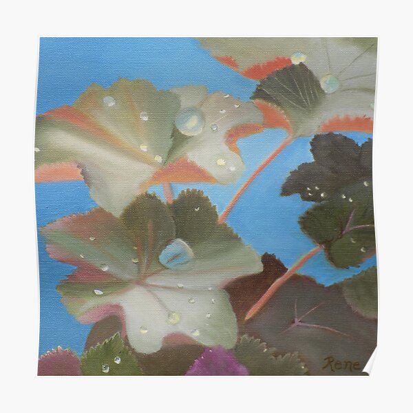 Morning Rain Poster