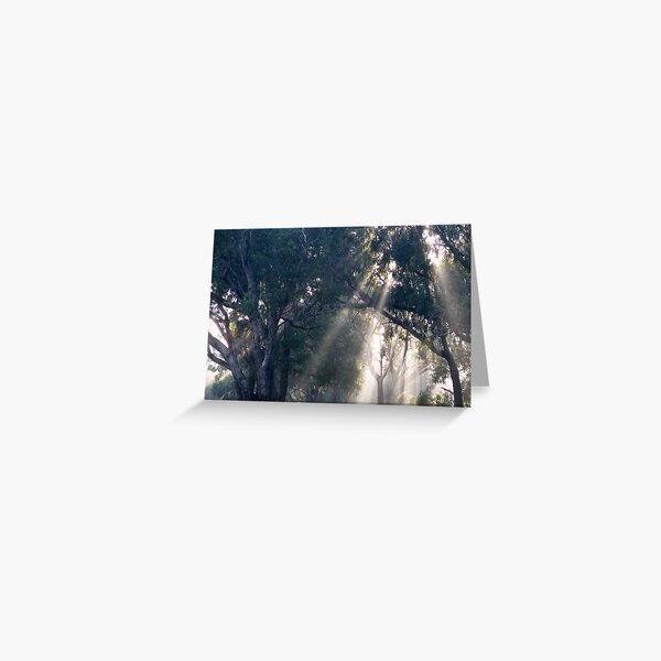 Untitled Greeting Card