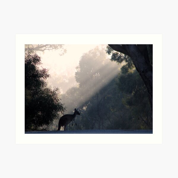 Roo'd Thru Rays Art Print