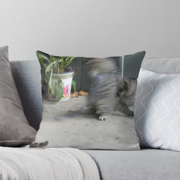 Item preview, I'm The FASTEST CAT in the LAND! designed and sold by Navigator.