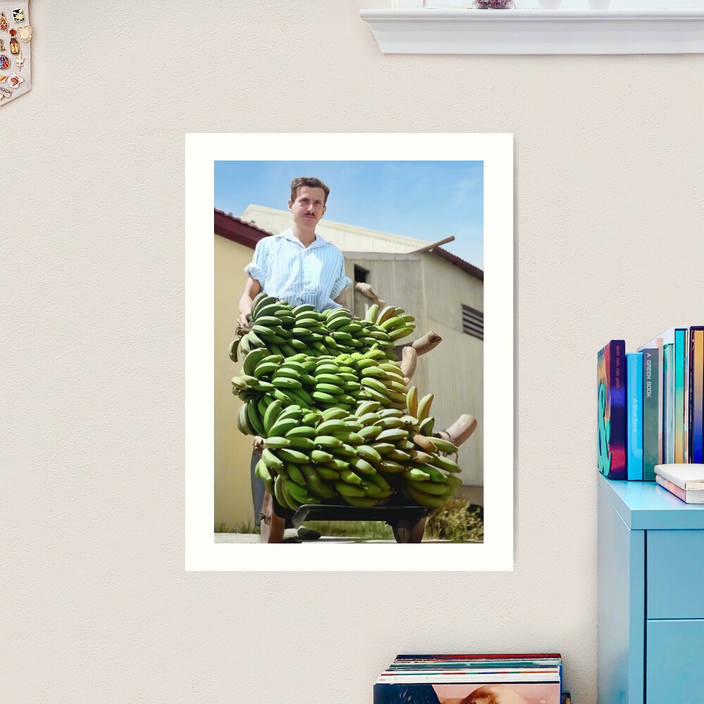 Israel, Kfar Shmaryahu. Bananas. 1940. Art Print
