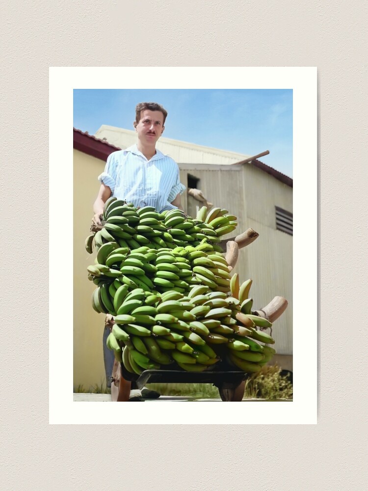 Alternate view of Israel, Kfar Shmaryahu. Bananas. 1940. Art Print