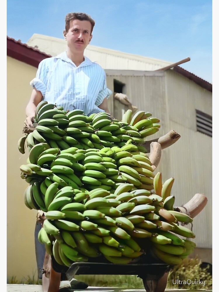 Israel, Kfar Shmaryahu. Bananas. 1940. by UltraQuirky