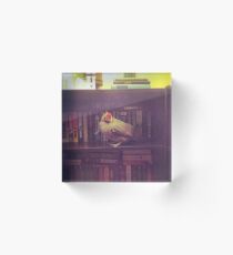 Chicken Bookcase Acrylic Block