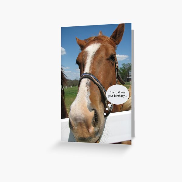 Herd It Was Your Birthday... Greeting Card