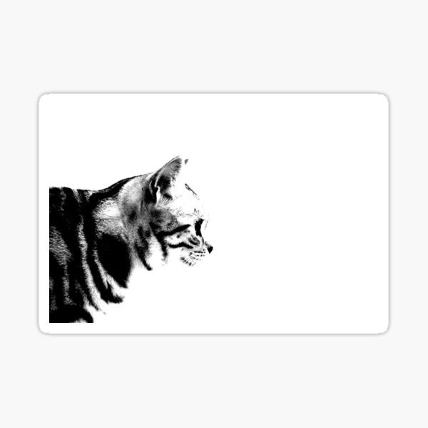 Item preview, Profile of a British Shorthair Tabby designed and sold by richglist.