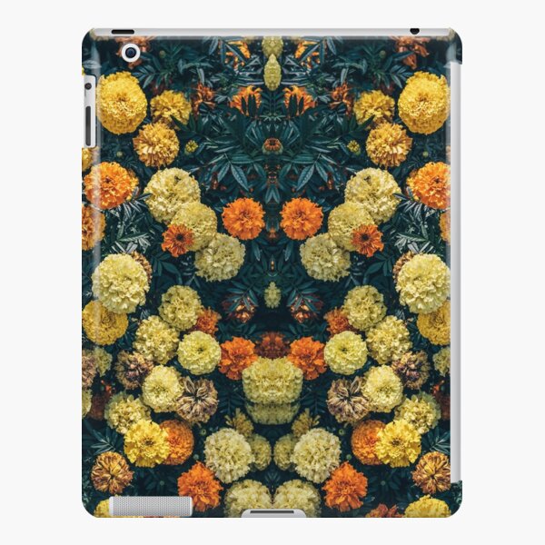 t o n e s iPad Snap Case
