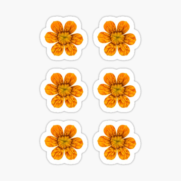 Small Flowers - Pack