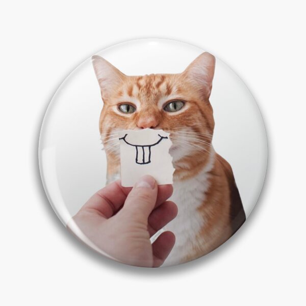 Aperçu de l'œuvre chat sourire - funny drole créée et vendue par Jero-fan.