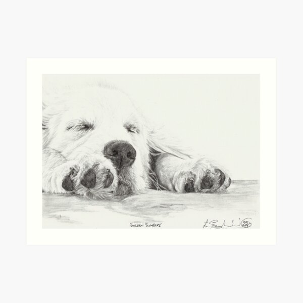 Golden Slumbers Art Print