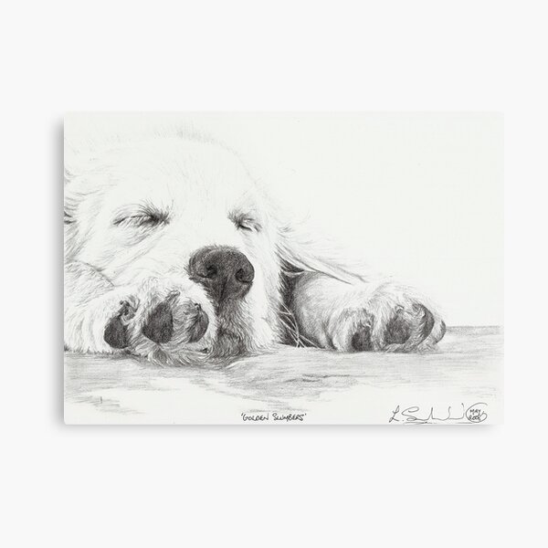 Golden Slumbers Metal Print