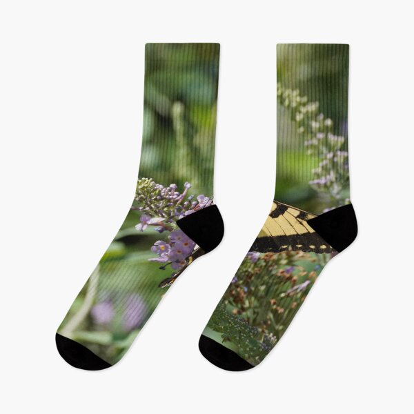 Item preview, yellow swallowtail on buddleia designed and sold by Harrisonphoto.