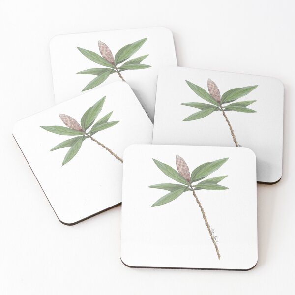 Item preview, Illustration of Callistemon Sapling- flower in watercolor designed and sold by Malu-Iriarte.
