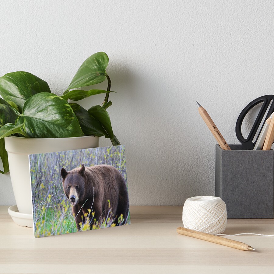 Item preview, Art Board Print designed and sold by alycetaylor.