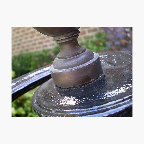 Garden Finial Photographic Print